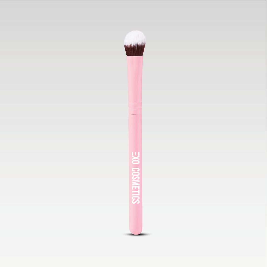 PASSENGER PRINCESS MINI BRUSH SET